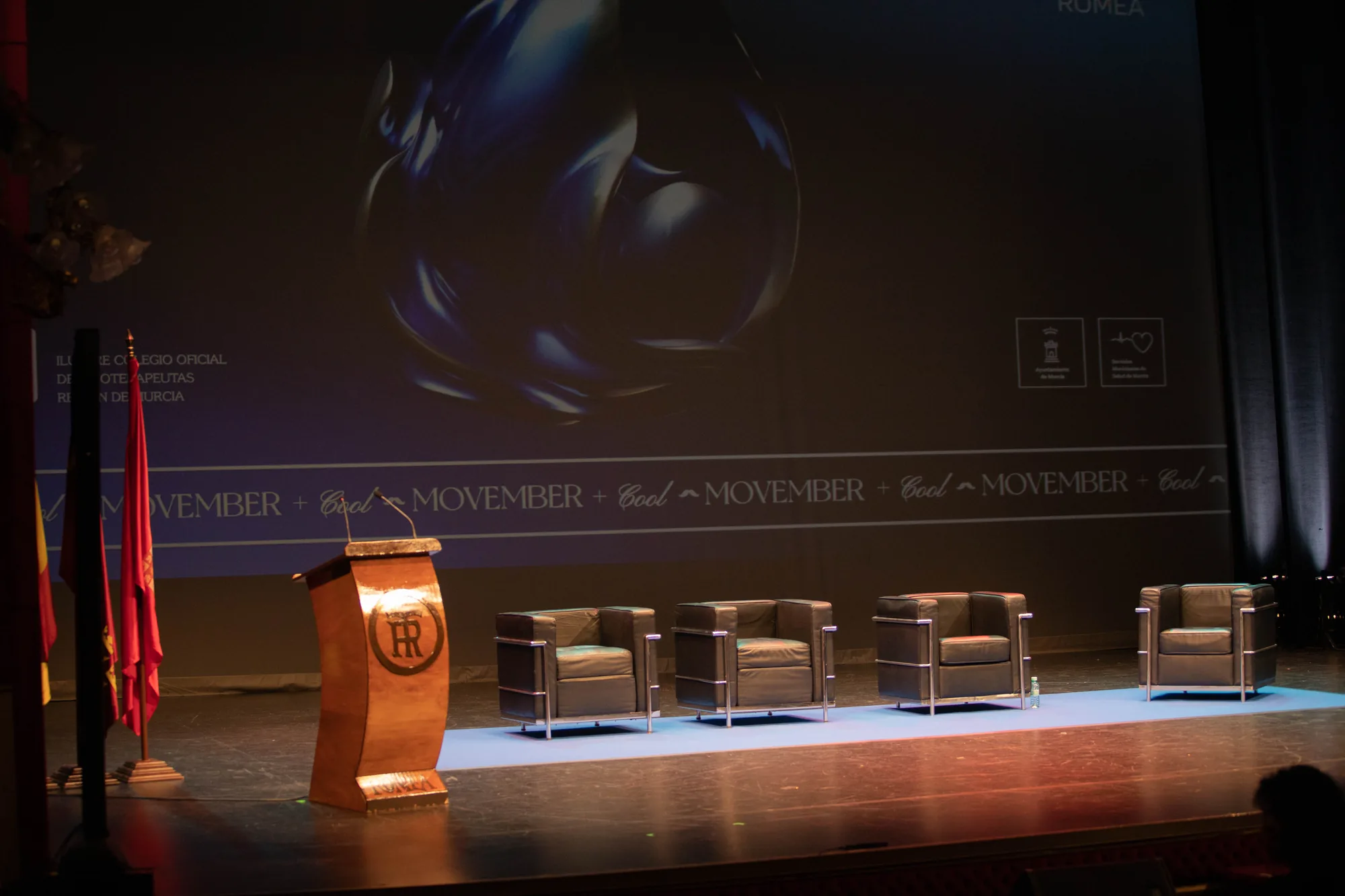 Jornadas Fisioterapia y Salud Masculina — imagen 17